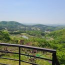 아시아나레스토랑 - 안산시 단원구 | 아시아나레스토랑
