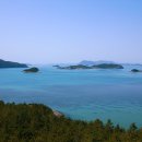 세포마을 이미지