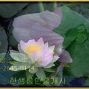 정상 목동6단지아파트 매매(1*) 66.11 ㎡ 이미지