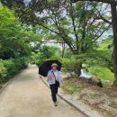 맥가이버 이미지