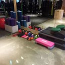 허니바디 스포츠 이미지