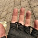 나래병원 이미지