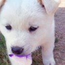 남해가봄 이미지