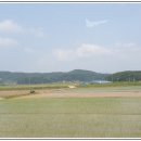 남당항 관광안내소 이미지