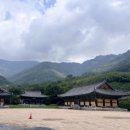 은하수커피 이미지