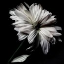 조치원읍 중앙요양병원 이미지