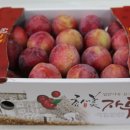 신태양농장 이미지