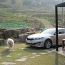 피서농장 이미지