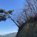 문항 다목적체험관 이미지