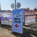 횡계초등학교 | ❄️ 여긴 진짜 겨울왕국… 평창 대관령 눈꽃축제 다녀온 솔직 후기