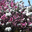 좋아서하는 이미지