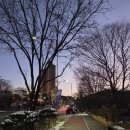 남산&N서울타워 | 한쿡 N서울타워점 프리미엄 남산 코스 후기 연말 모임 장소 추천