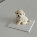 왈테이블 | 인천 구월동 왈테이블 강아지 생일케이크 입체케이크 추천 내돈내산 후기