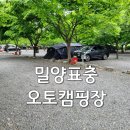 밀양표충오토캠핑장 후기 채송화 사이트
