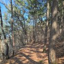 31140-4-76-2 | 서해랑길 76코스 서산구간 후기