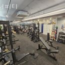 위너피티 이미지