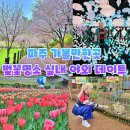 영산수련원 | 파주 가볼만한곳 벚꽃 명소 운정호수공원 영산수련원 쇠꼴마을 뮤지엄헤이 코스
