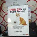 도그플러스 동물병원 이미지