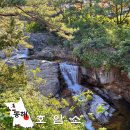 동해 여행지 무릉 달빛 호암소길 야경 명소 웰니스 산책 코스