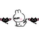 롯데시네마 수완 6관 이미지