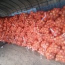 정성야채 이미지