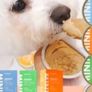 하루맘마 이미지