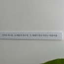 주아 루엘르 이미지