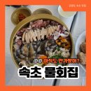 오징어집 - 송파구 백제고분로 280 | 속초 물회 맛집 청초수물회 속초본점 전복죽 오징어순대 물회집 내돈내산 후기, 택배 구매정보