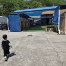타온플레이 | 아산 더플레이캠프 후기｜구 유니크한노리터, 아이 체력 빼러 갔다가 엄마가 탈진한 곳