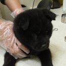 모리동물병원 이미지