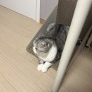 행복야식 - 중랑구 면목로 381 | 행복야식