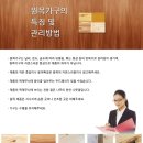 아해뜰어린이집 이미지