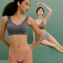 트렌디바디 이미지