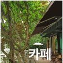 솔솔카페 이미지
