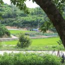 근덕초 동막분교장 이미지