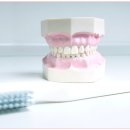 나은치과기공소 이미지