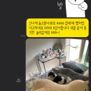 퍼밀리 이미지