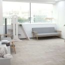 리봄동물의료센터 이미지