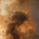 안태초등학교 이미지