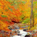 정선파인케어빌 이미지