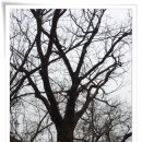 일신목장 이미지