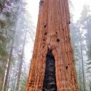 (주)풀과나무 이미지