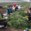 연평1리경로당 이미지