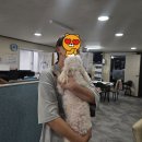 세븐일레븐포항연일점 이미지