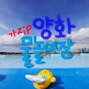 한강성인텍 | [가zip] 양화물놀이장 가격정보 위치정보 주차꿀팁 및 이용꿀팁 대방출