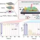 [2025 DAILY PICK 제194호] &#39;전원 없이 작동하는 &#39;자가 구동형 인센서 이미징&#39; 기술 구현&#39; 등 이미지
