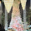 그레이스파티 관악본점 투어후기 그레이스파티신림 혼주로서 가봄 친언니가여기서결혼함 너무 예쁜홀...
