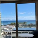 싱싱빅마켓 이미지