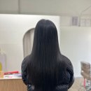 샬롬 붙임머리 이미지