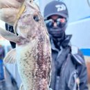 킹콩낚시 이미지